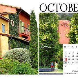 AnYtime Calendar 2011::Binding and Bonding