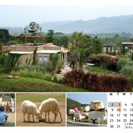 AnYtime Calendar 2012