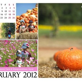 AnYtime Calendar 2012