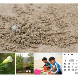AnYtime Calendar 2012