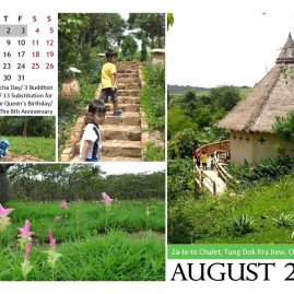 AnYtime Calendar 2012