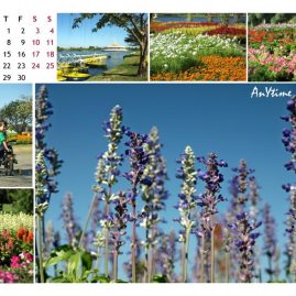 AnYtime Calendar 2012