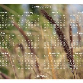 AnYtime Calendar 2012