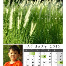 AnYtime Calendar 2013::foRest