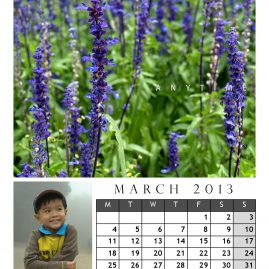 AnYtime Calendar 2013::foRest