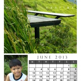 AnYtime Calendar 2013::foRest