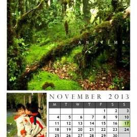 AnYtime Calendar 2013::foRest