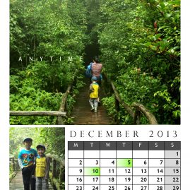 AnYtime Calendar 2013::foRest