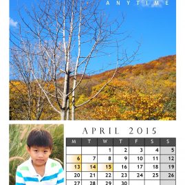 AnYtime Calendar 2015::fall in Love