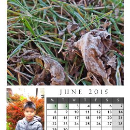 AnYtime Calendar 2015::fall in Love