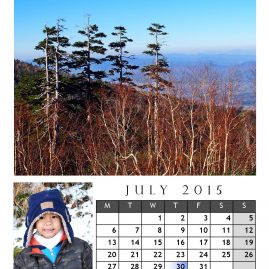 AnYtime Calendar 2015::fall in Love