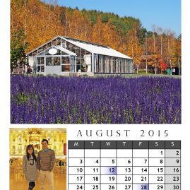 AnYtime Calendar 2015::fall in Love