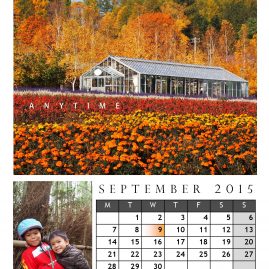AnYtime Calendar 2015::fall in Love