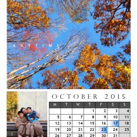 AnYtime Calendar 2015::fall in Love