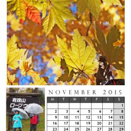 AnYtime Calendar 2015::fall in Love