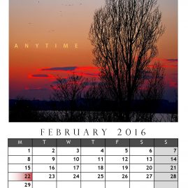 AnYtime Calendar 2016::Backspace