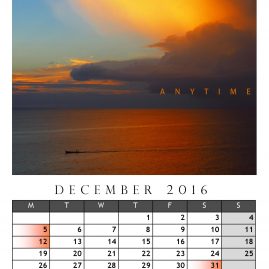 AnYtime Calendar 2016::Backspace
