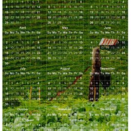 AnYtime Calendar 2016::Backspace