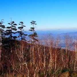 Furano::Resort