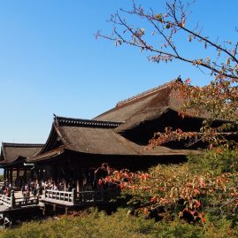 Kyoto::Resort
