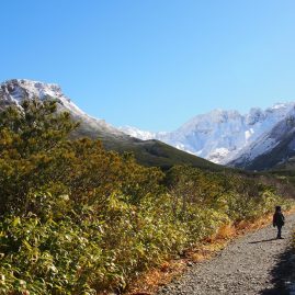 Furano::Family