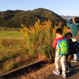 Arashiyama::Family