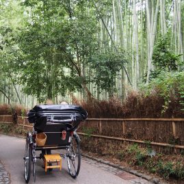 Arashiyama::Resort