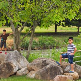 Reverie Siam::Family