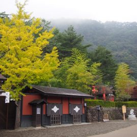 Nikko Edo Wonderland::Resort