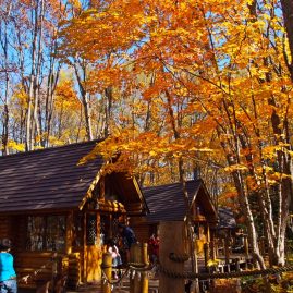 Furano::Resort
