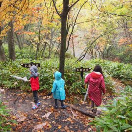 Noboribetsu Onsen::Family