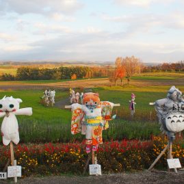From Sapporo to Biei::Resort