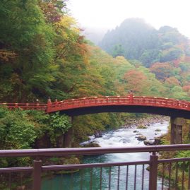 Nikko Edo Wonderland::Resort