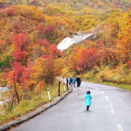 Noboribetsu Onsen::Family