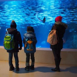 Otaru Aquarium::Family