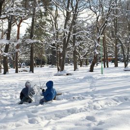 Sapporo December 2015::Family