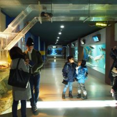 Otaru Aquarium::Family