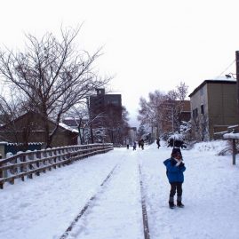 Otaru 2015::Family