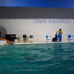 Otaru Aquarium::Resort