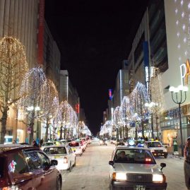 Sapporo December 2015::Resort