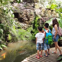 Queen Sirikit Botanic Garden::Family
