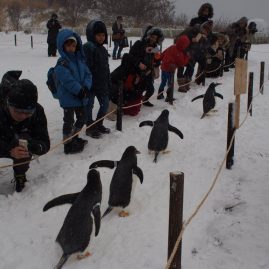 Otaru Aquarium::Family