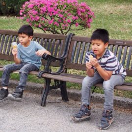Spring in Japan 2015::Family