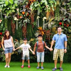 Queen Sirikit Botanic Garden::Family
