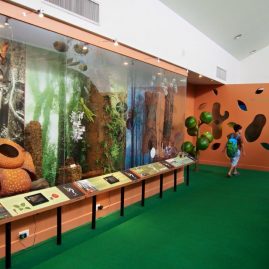 Queen Sirikit Botanic Garden::Resort