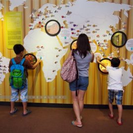 Queen Sirikit Botanic Garden::Family