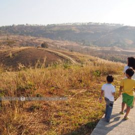 Khao Khor Blue Sky::Family