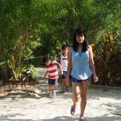 Pathway in the Resort