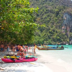Monkey Beach