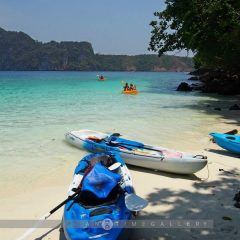 Monkey Beach